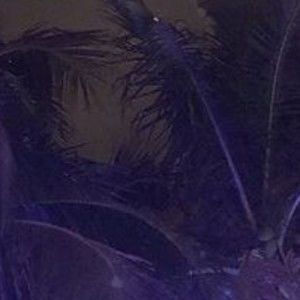 Meet your Posher, Mumbo